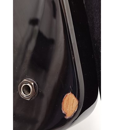 EPIPHONE THUNDERBIRD EBONY