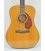 FENDER PM-1E STD DREADNOUGHT NATURAL W/CASE