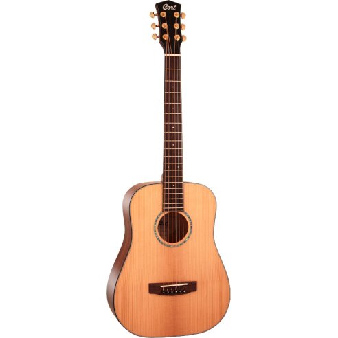 CORT GOLD MINI + CASE