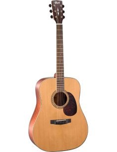 CORT EARTH100 NS
