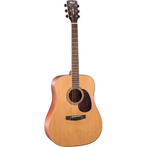 CORT EARTH100 NS