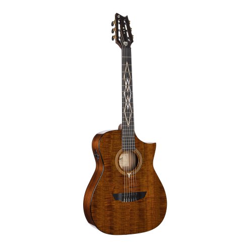 CORT FRANK GAMBALE LUXE NYLON BR W/CASE