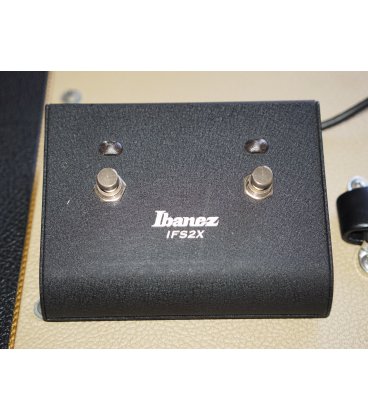 BOGNER SHIVA HEAD NO REVERB + COMBO CHASSIS