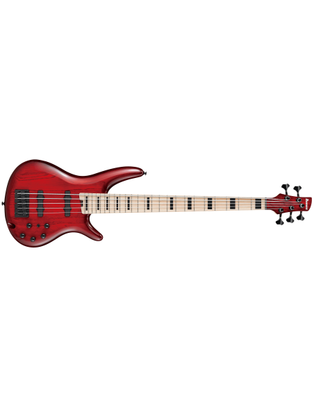IBANEZ ANB205-TWB ADAM NITTI SIGNATURE