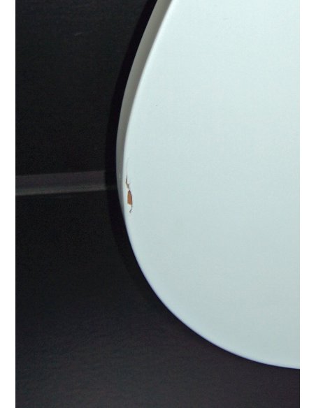 FENDER AM PERFORMER TELE RW SATIN SONIC BLUE EX DEMO FENDER AM PERFORMER TELE RW SATIN SONIC BLUE EX DEMO