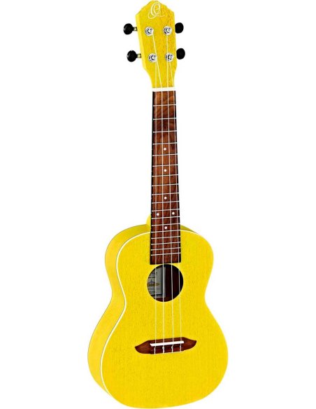 ORTEGA RUSUN