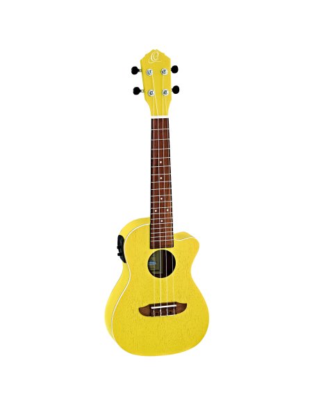 ORTEGA RUSUN-CE