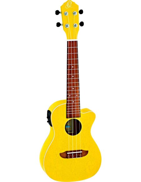 ORTEGA RUSUN-CE
