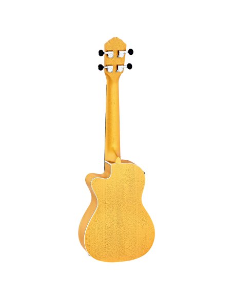 ORTEGA RUSUN-CE