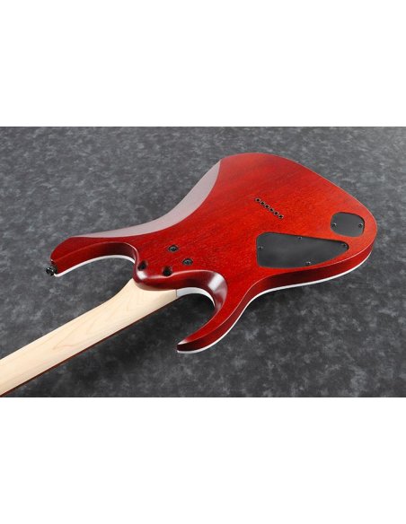 IBANEZ RGA42FM TGF
