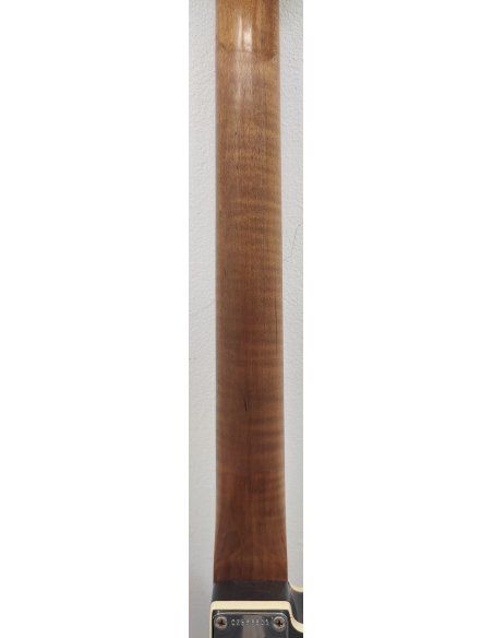 FENDER LTD TELE CUSTOM RELIC HS CHARCOAL FROST METALLIC