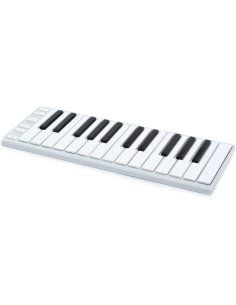CME XKEY 25
