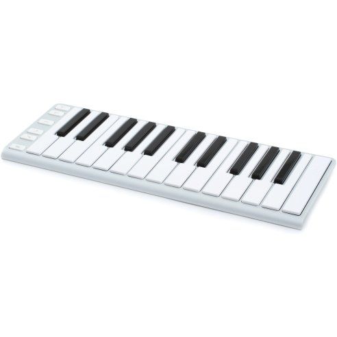 CME XKEY 25