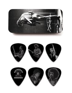 Dunlop JH-PT06-M Silver Portrait