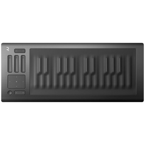 ROLI SEABOARD RISE 25