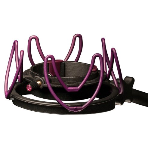 ASTON RYCOTE CUSTOM LYRE
