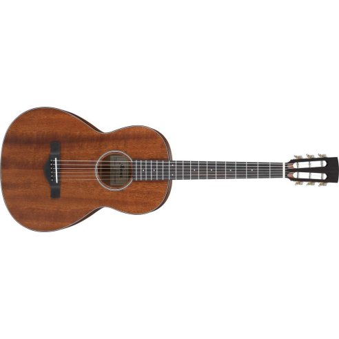 IBANEZ AVN9-OPN OPEN PORE NATURAL