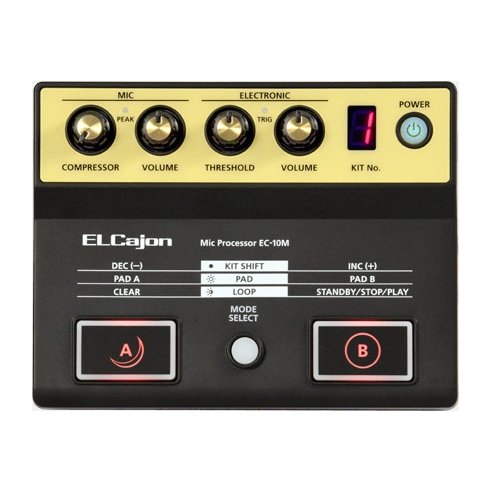 ROLAND EC-10M EL CAJON MIC PROCESSOR