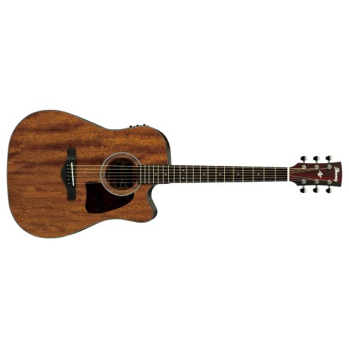 IBANEZ AW54-CE OPN OPEN PORE NATURAL