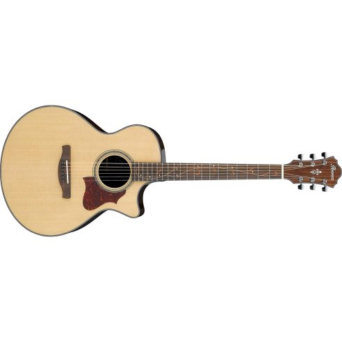 IBANEZ AE305-NT