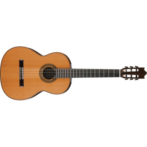 IBANEZ G500-NT