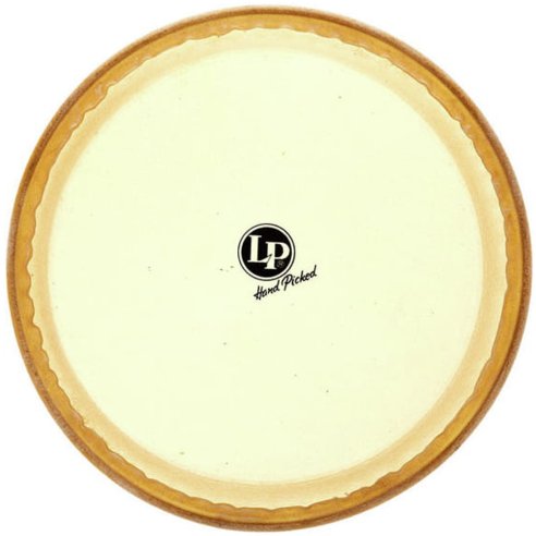 LP 274B PELLE CONGA GIOVANNI  11 3/4