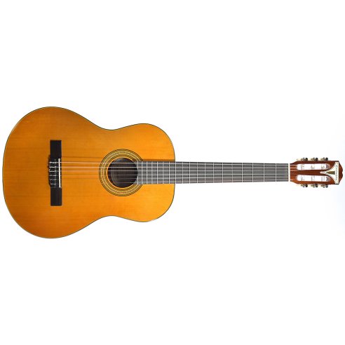 EPIPHONE PRO-1 SPANISH