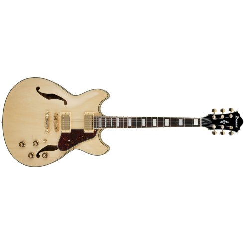 IBANEZ AS73G-NT