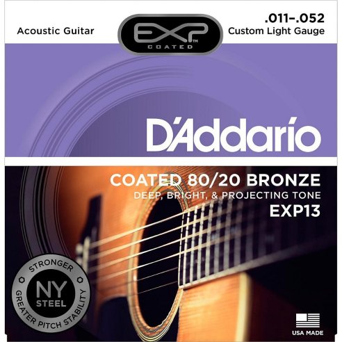 D'ADDARIO EXP13