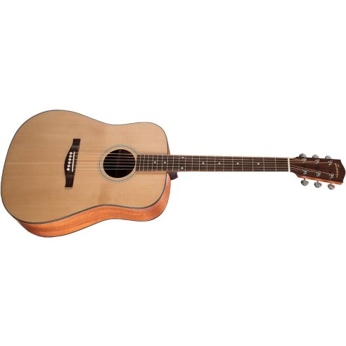 EASTMAN AC120 MAHOGANY + BAG