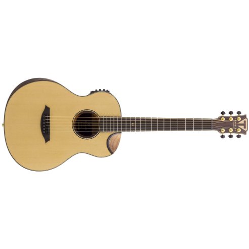 TRAVELER CL-3EQ W/GIG BAG