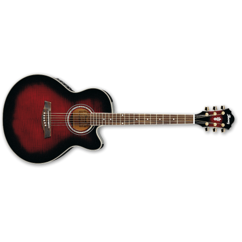 IBANEZ AEL20E-TCS