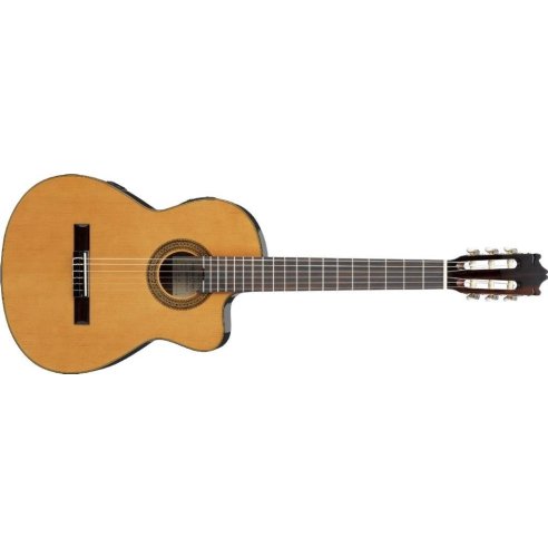 IBANEZ G5ECE-AM
