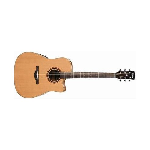 IBANEZ AW250ECE-LG