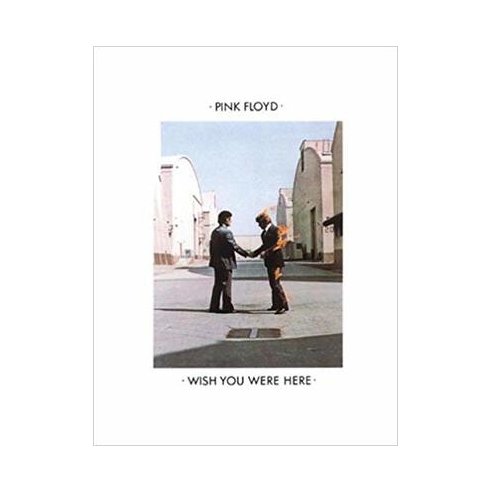 PINK FLOYD WISH YOU WERE HERE PVG ML20402