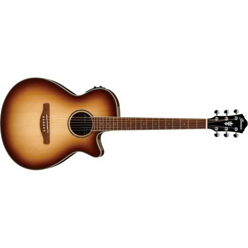 IBANEZ AEG10II-NNB