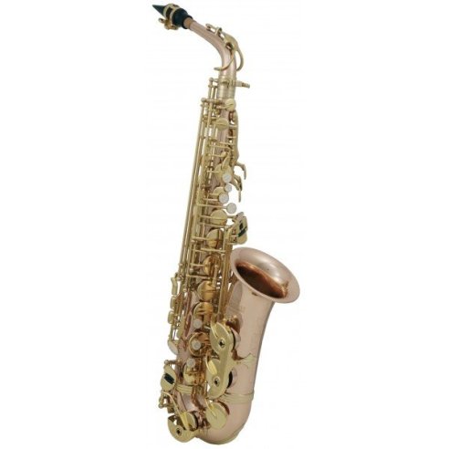 ROY BENSON AS-202G SAX ALTO BRONZE LACCATO