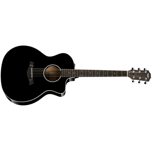 TAYLOR 214CE-BLK DLX