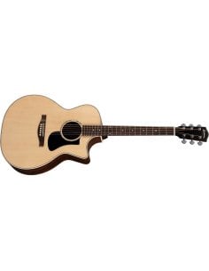 EASTMAN PCH2-GAce + GIGBAG
