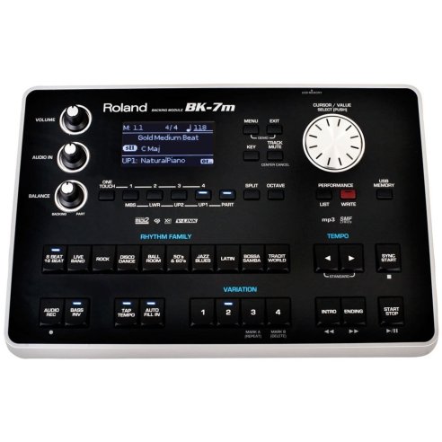 ROLAND BK7M MODULO EXD