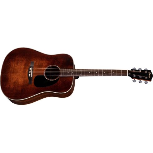 EASTMAN PCH2-D + GIGBAG