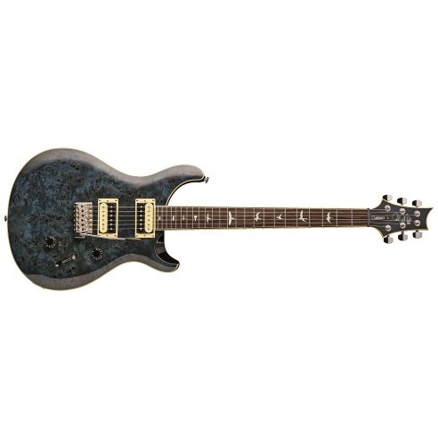 PRS SE CUSTOM 24 POLAR BURL BIRDS TR3WB