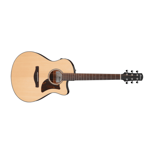 IBANEZ AAM300CE-NT