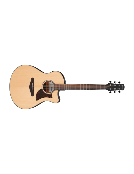 IBANEZ AAM300CE-NT