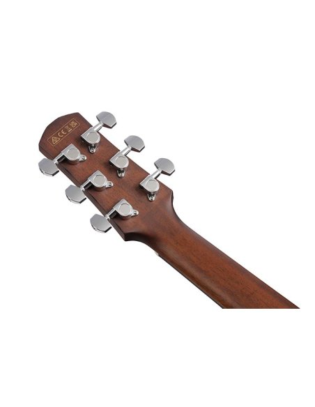 IBANEZ AAM300CE-NT