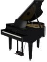 ROLAND GP-9 PE