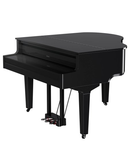 ROLAND GP-9 PE