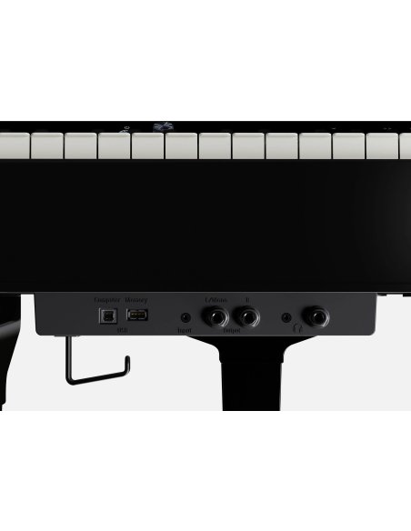 ROLAND GP-9 PE
