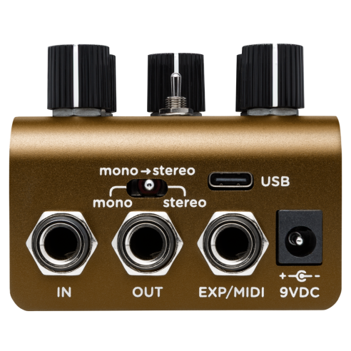 STRYMON OLIVERA