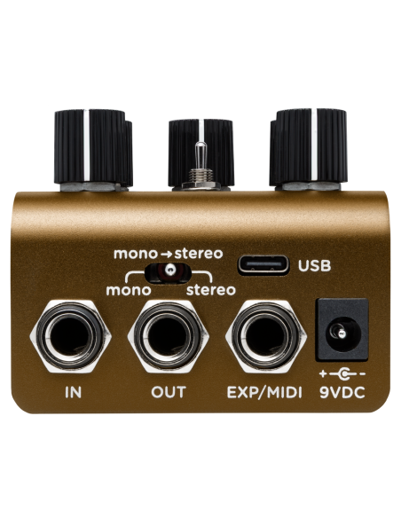 STRYMON OLIVERA